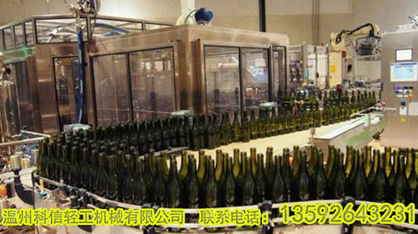 沙棘果酒生产线设备