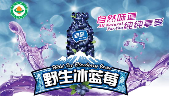 野生蓝莓饮料能否成为市场新贵