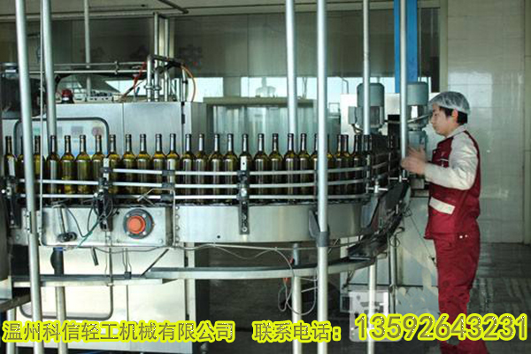 全自动火龙果酒生产线设备价格|整套火龙果酒加工制作设备厂家