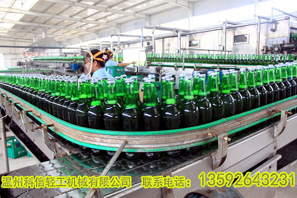 自动化水果酵素发酵设备厂家|蓝莓酵素饮料加工工艺