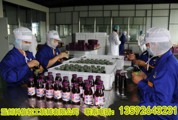 全自动酵素饮料加工机械设备厂家|酵素发酵工艺介绍