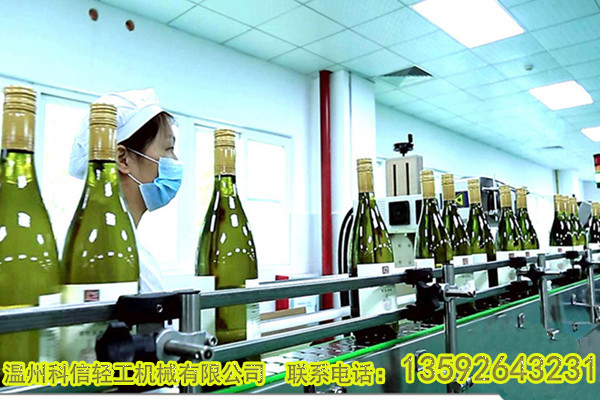 全套杨梅醋饮料加工设备价格|小型杨梅果醋饮料灌装生产线设备厂家