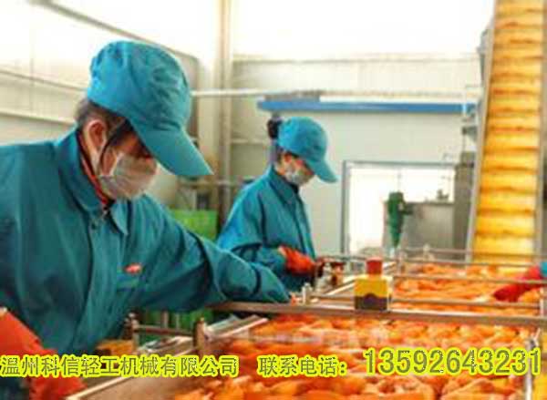 全自动胡萝卜汁饮料生产线设备价格|小型胡萝卜汁饮料灌装设备厂家