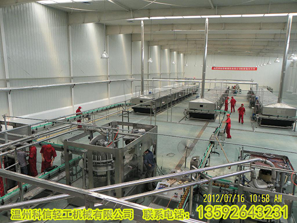 整套树莓汁饮料生产线设备 小型树莓深加工设备厂家